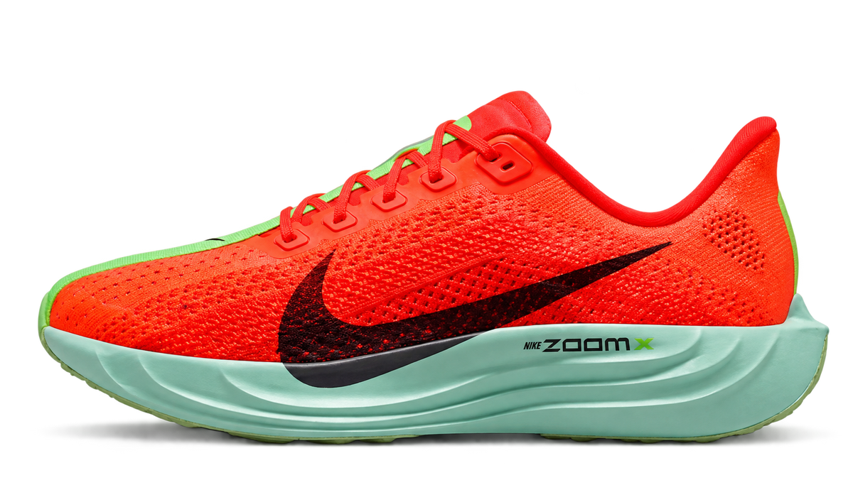 Nike Pegasus Plus